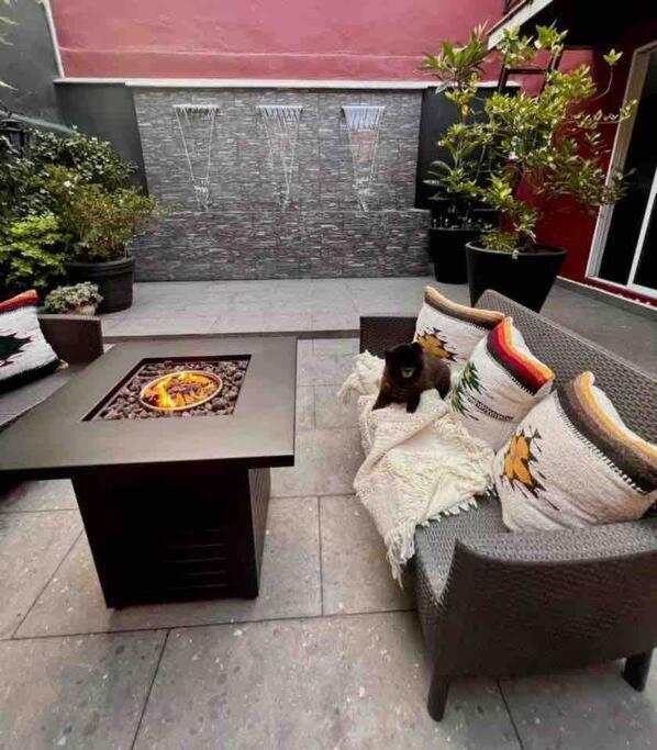 Luxurious Mid Century Modern Folk Art Home 墨西哥城 外观 照片