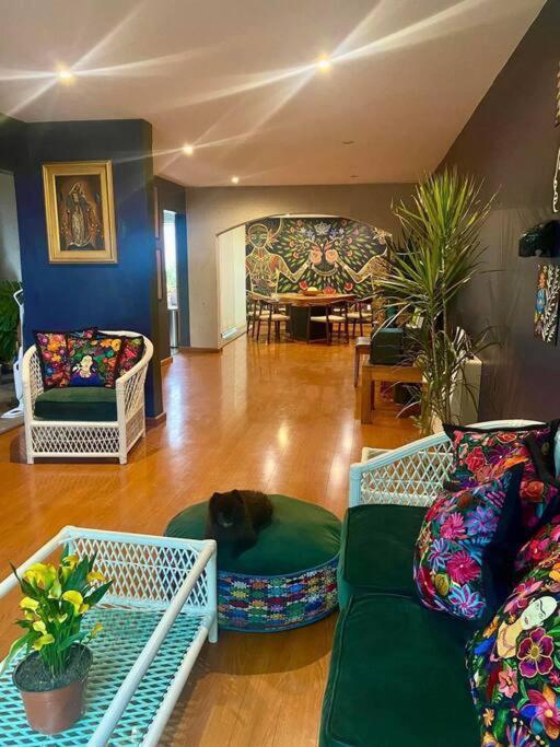 Luxurious Mid Century Modern Folk Art Home 墨西哥城 外观 照片