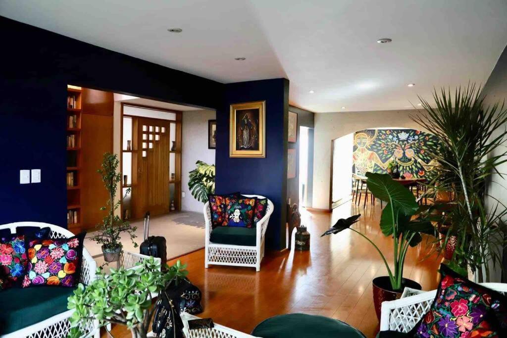Luxurious Mid Century Modern Folk Art Home 墨西哥城 外观 照片