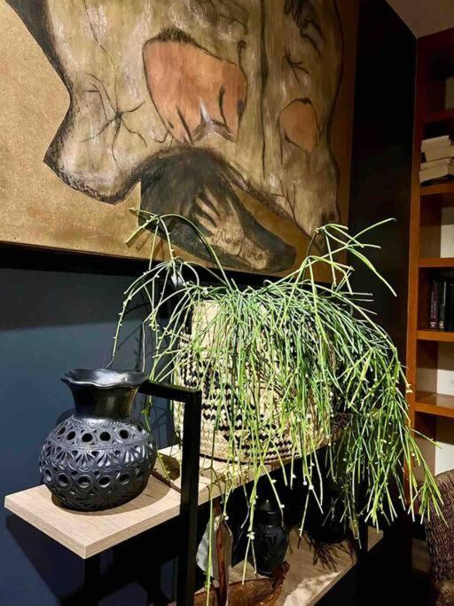 Luxurious Mid Century Modern Folk Art Home 墨西哥城 外观 照片
