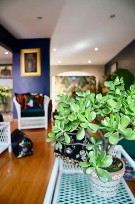 Luxurious Mid Century Modern Folk Art Home 墨西哥城 外观 照片