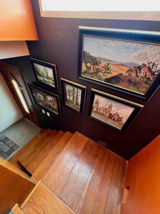 Luxurious Mid Century Modern Folk Art Home 墨西哥城 外观 照片
