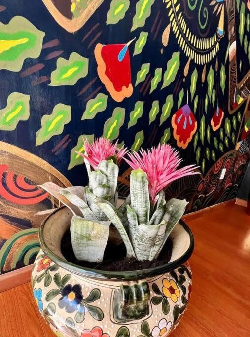 Luxurious Mid Century Modern Folk Art Home 墨西哥城 外观 照片